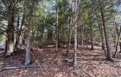 358 River Road, Riparius, NY 12862