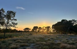 McConnell Road, Gunter, TX 75058