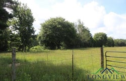 19762 FM 2208, Harleton, TX 75651