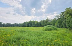 4001 Highway 18, East Side Twp, MN 56342