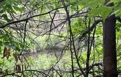 Lot 4 McGregor Road, Johnstown, NY 12078