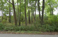 SHARP Street, ROCK HALL, MD 21661