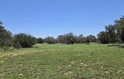 Swayback Trail lot: 16, Corona, NM 88318