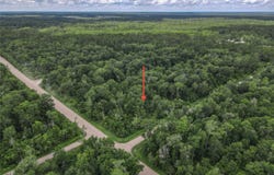 4001 EVERGREEN AVENUE, BUNNELL, FL 32110