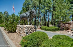 4696 West Tatanka Loop, Show Low, AZ 85901