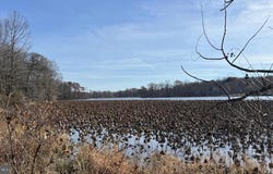 0 RILEY RD, WARRENTON, VA 20187
