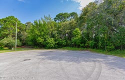 . Lakeview Court, Spring Hill, FL 34608
