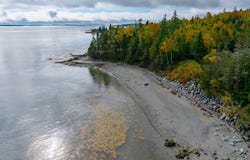 436 Flye Point Road, Brooklin, ME 04616