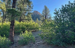 24 Bell Flower Court, Durango, CO 81301