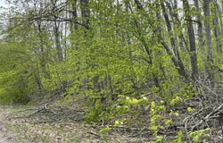 990-994 Arawak Pass, Gaylord, MI 49735