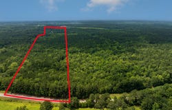 8 Acres Us Highway 80, Roberta, GA 31078