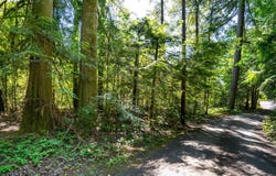 E Zig Zag River Rd, Rhododendron, OR 97049