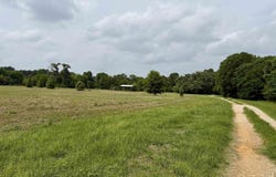 Private Road 7407, Brownsboro, TX 75756
