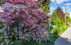 620 W 7th Ave, Spokane, WA 99204