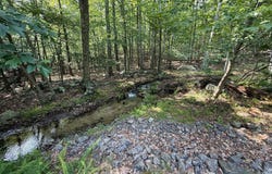 LOT 72 PARKSIDE DRIVE, BERKELEY SPRINGS, WV 25411