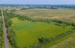 80 Acres Homestead Road, Conrath, WI 54731
