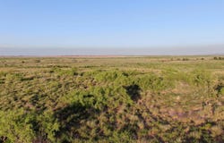 5741 Quay Road Af, Tucumcari, NM 88401