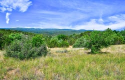 12141 Nm State 14, Cedar Crest, NM 87008