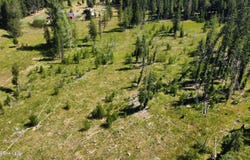Parcel 10 Green Valley RD, Fernwood, ID 83830