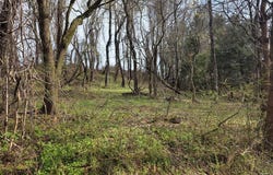 Birch Lane, Wheeling, WV 26003