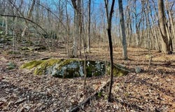 10.02 Acres TBD Rock Garden Road, Black Mountain, NC 28711