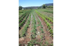 0 Roybal Rd, Rio Lucio, NM 87553