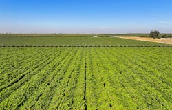 Road 88, Dinuba, CA 93618