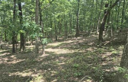 18195 N Hwy 65, Saint Joe, AR 72675