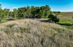 123 D RD, Palco, KS 67657
