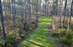 Highway 28, Abbeville, SC 29620