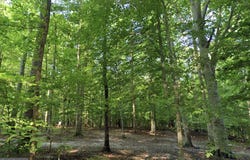 131 BRICK CHURCH ROAD, DAVIDSONVILLE, MD 21035