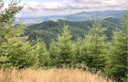 NorthForkGalesCreek, Timber, OR 97144