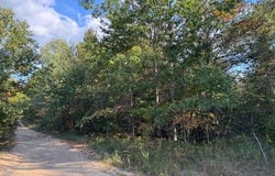 Larch St lot: #415, Johannesburg, MI 49751
