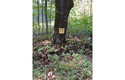 Tr312 Ober Road, Donegal - WML, PA 15687