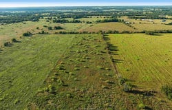 Tbd County Road 216, Caldwell, TX 77836
