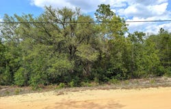 5750 BITTER ROOT Street, Keystone Heights, FL 32656