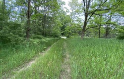 Parcel A Cemetery Road, Alden, MI 49612