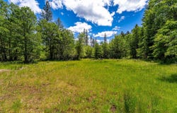 525 Sherier Road, Cave Junction, OR 97523