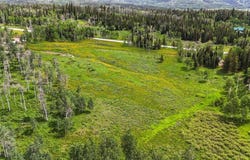 59395 CRIPPLE CREEK COURT, Clark, CO 80428
