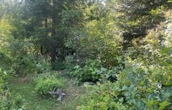Oak Ridge RD, White Salmon, WA 98672
