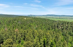 TBD 58 +/- ac. Docs Place, Spearfish, SD 57783