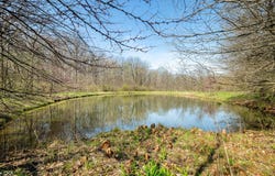 1828 W 750 S, Trafalgar, IN 46181