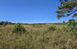 County Road 455, Birch Tree, MO 65438