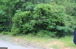 0 Liberty Street, Lumpkin, GA 31815