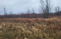 00 Ridge Road, Fine, NY 13639