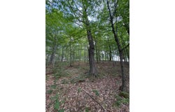 0 Sunset Ridge Rd, Cooperstown, NY 13326