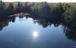on Wolf Lake Road, Newberry, MI 49868