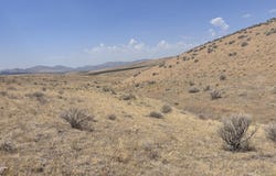 TWP 40N RGE MDB&M, Wells, NV 89835