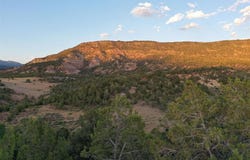 15590 Red Mountain Lane, Collbran, CO 81624