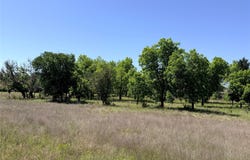 2455 FM 1047, Star, TX 76880